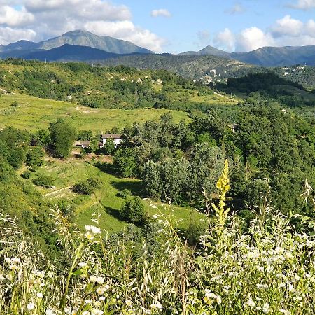 Agriturismo Il Burlino Apartments Lerma Zewnętrze zdjęcie