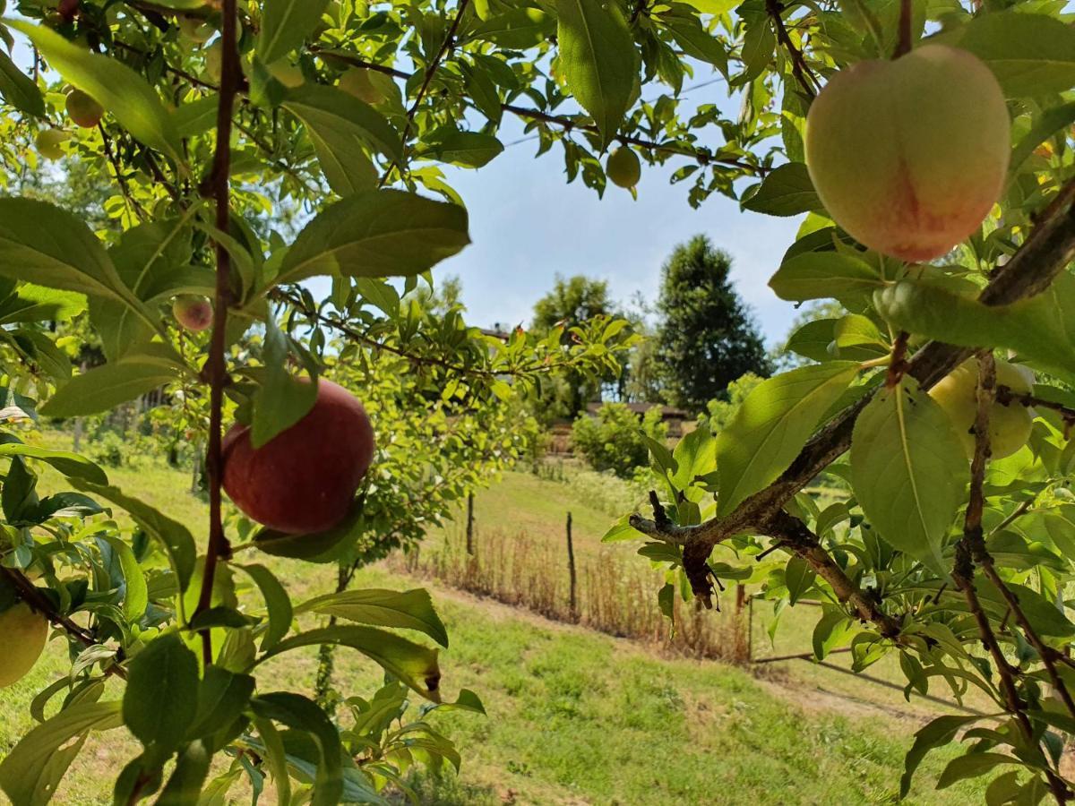 Agriturismo Il Burlino Apartments Lerma Zewnętrze zdjęcie