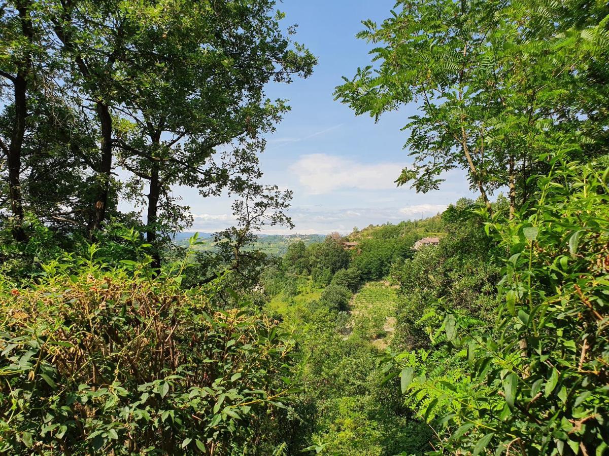 Agriturismo Il Burlino Apartments Lerma Zewnętrze zdjęcie