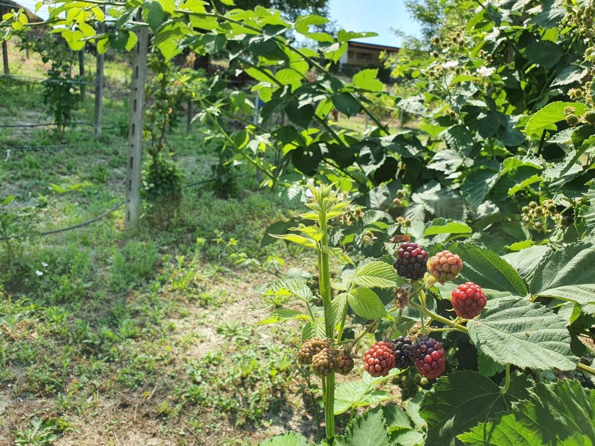 Agriturismo Il Burlino Apartments Lerma Zewnętrze zdjęcie