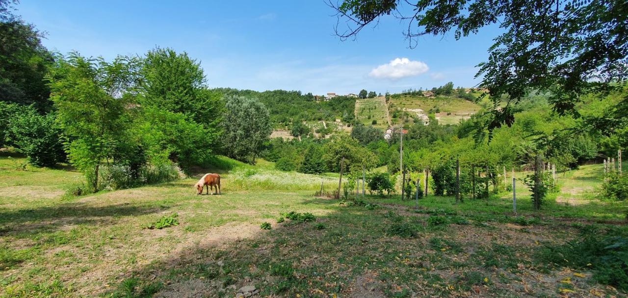 Agriturismo Il Burlino Apartments Lerma Zewnętrze zdjęcie