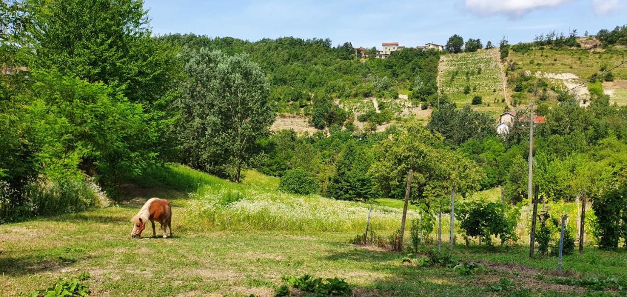 Agriturismo Il Burlino Apartments Lerma Zewnętrze zdjęcie