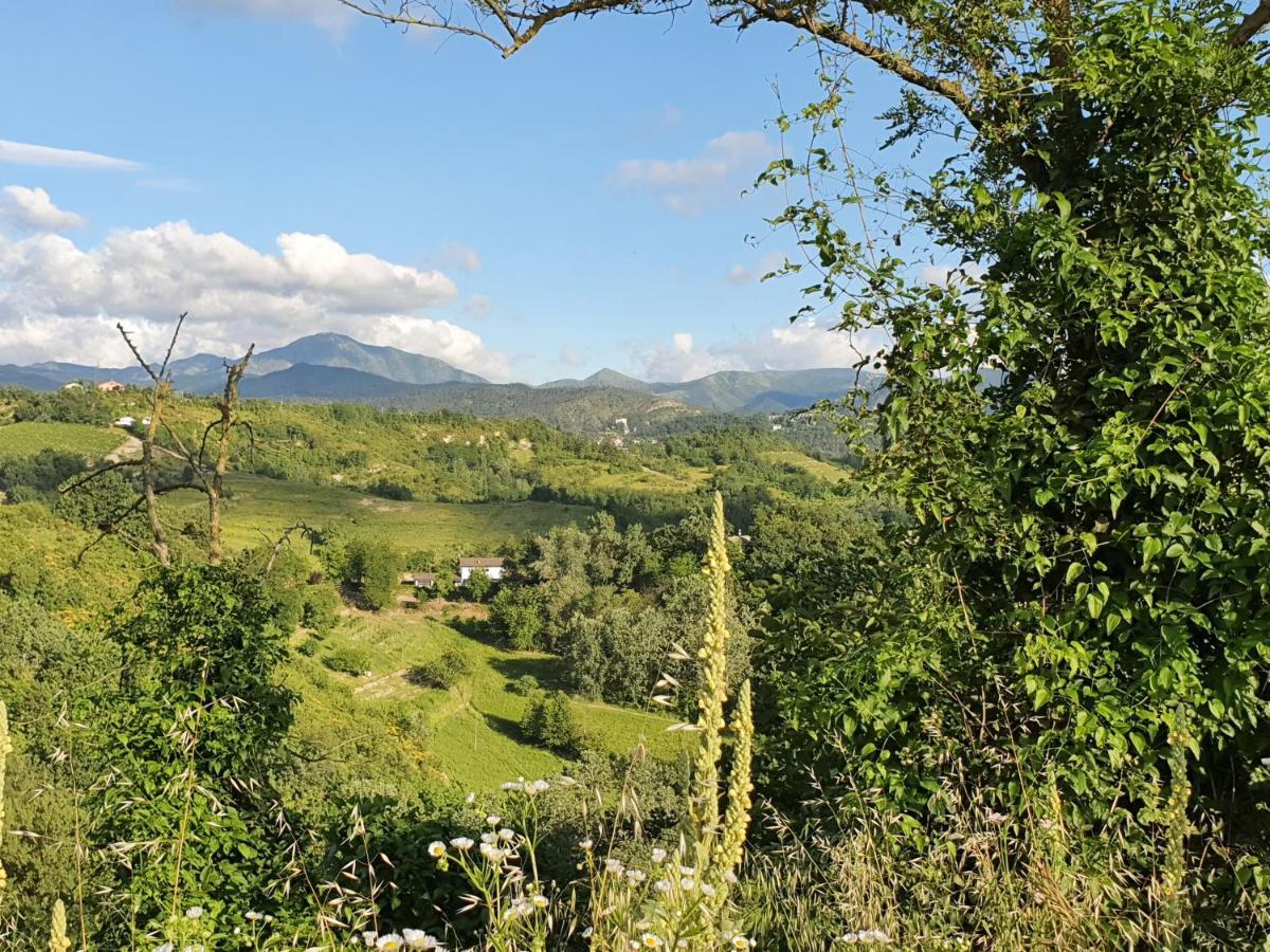 Agriturismo Il Burlino Apartments Lerma Zewnętrze zdjęcie