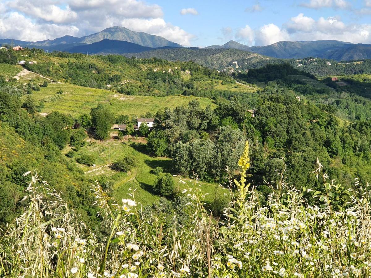 Agriturismo Il Burlino Apartments Lerma Zewnętrze zdjęcie