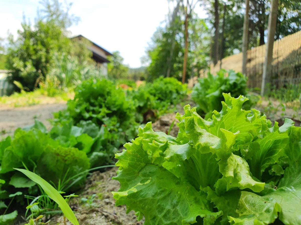 Agriturismo Il Burlino Apartments Lerma Zewnętrze zdjęcie